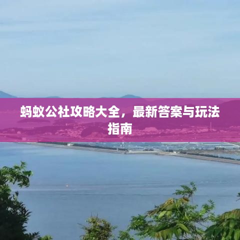 蚂蚁公社攻略大全，最新答案与玩法指南