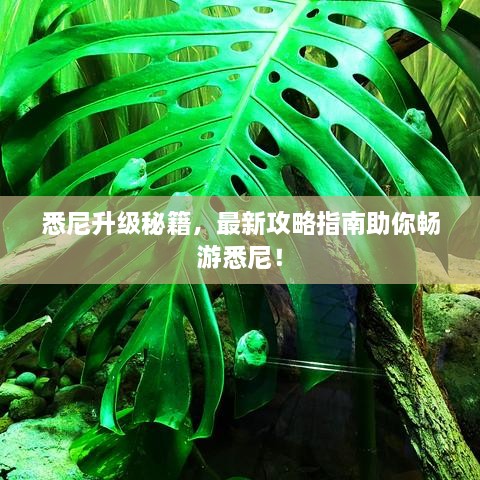 gangqiemuzhang 第2页