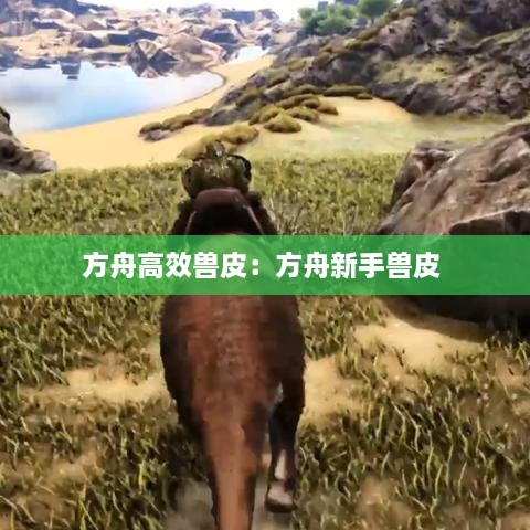 井底之蛙 第2页