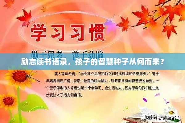 励志读书语录，孩子的智慧种子从何而来？