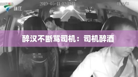 醉汉不断骂司机：司机醉酒 
