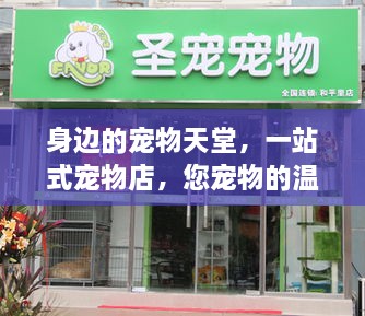身边的宠物天堂，一站式宠物店，您宠物的温馨之家