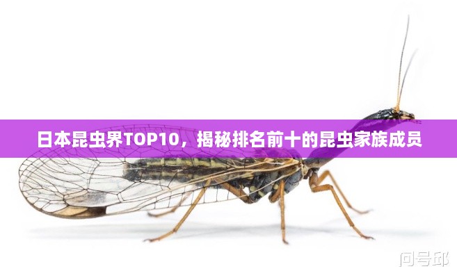 不修边幅 第2页
