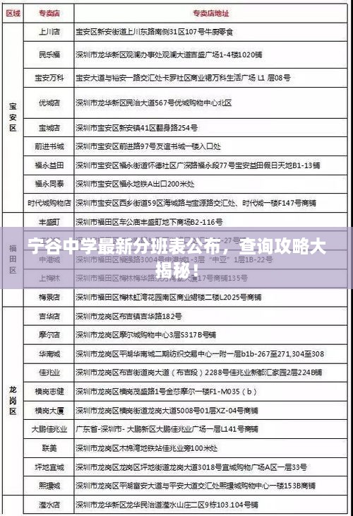 宁谷中学最新分班表公布，查询攻略大揭秘！