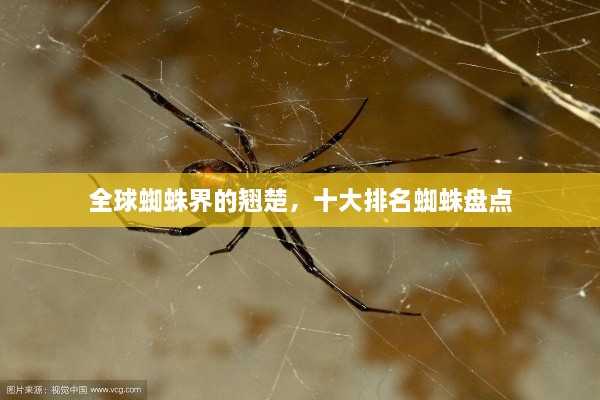 生离死别 第2页
