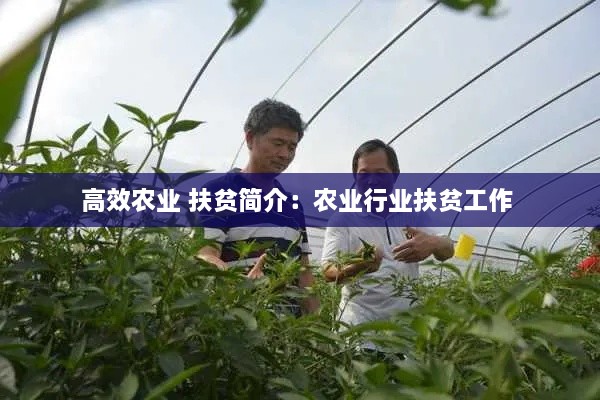 百不获一 第2页