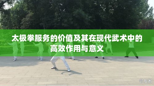 太极拳服务的价值及其在现代武术中的高效作用与意义