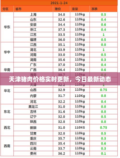天津猪肉价格实时更新，今日最新动态