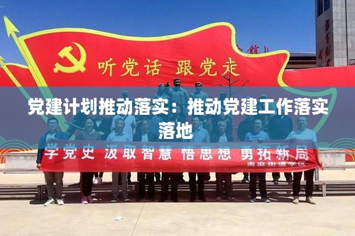 党建计划推动落实：推动党建工作落实落地 