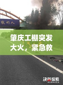 春蛙秋蝉 第2页