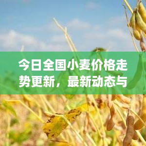 联系我们 第160页