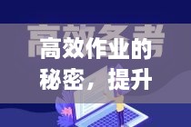 高效作业的秘密，提升效率的关键所在！