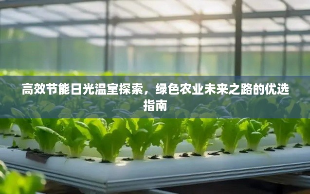张王李赵 第2页