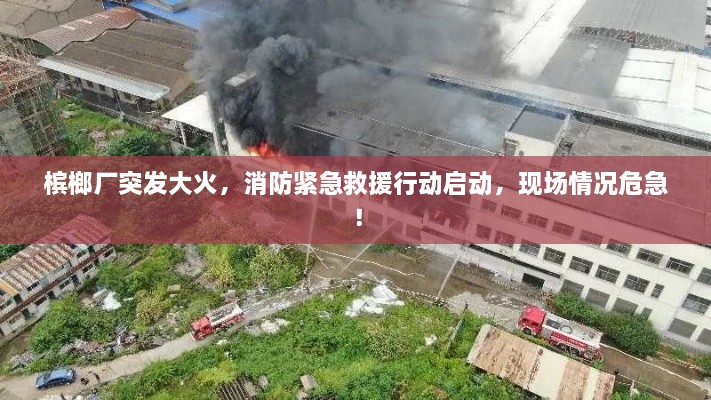 槟榔厂突发大火，消防紧急救援行动启动，现场情况危急！