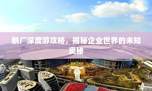 鹅厂深度游攻略，揭秘企业世界的未知奥秘