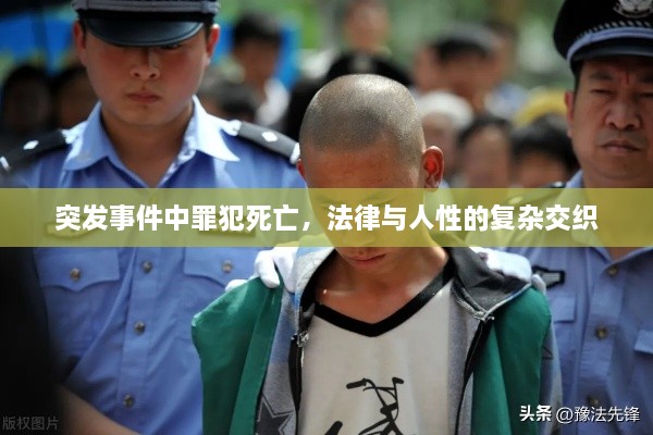 突发事件中罪犯死亡，法律与人性的复杂交织