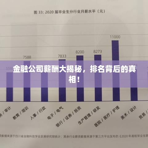 金融公司薪酬大揭秘，排名背后的真相！