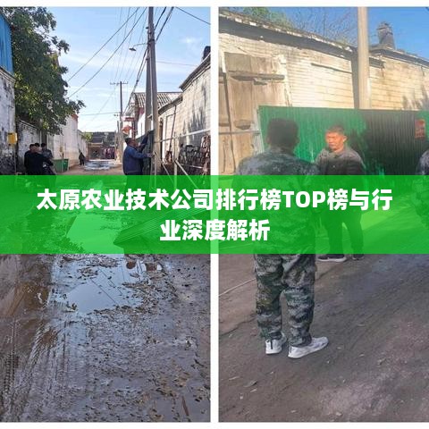 新闻动态 第193页