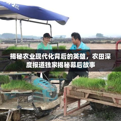 仙风道骨 第2页