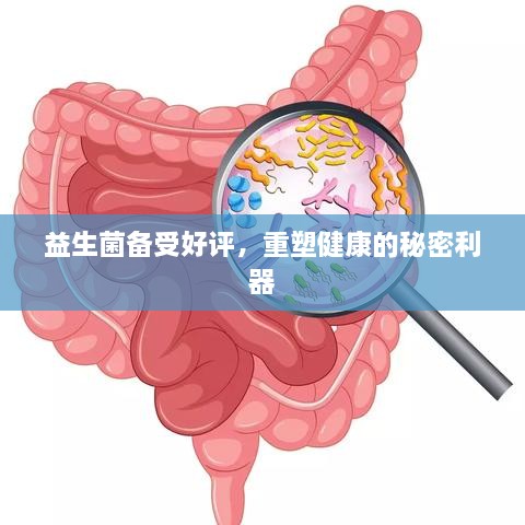 志在四方 第2页