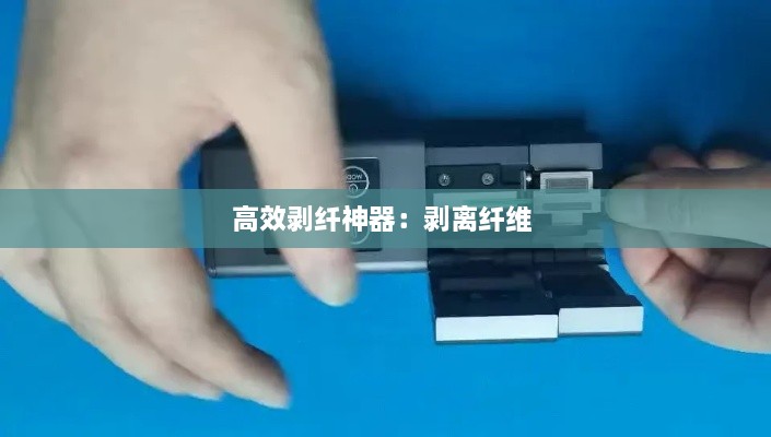神采奕奕 第2页