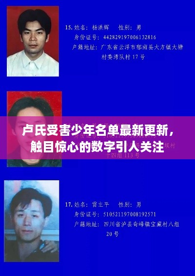 卢氏受害少年名单最新更新，触目惊心的数字引人关注