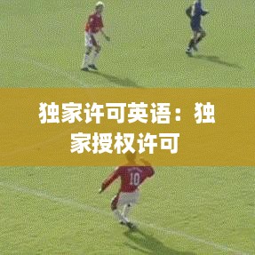独家许可英语：独家授权许可 