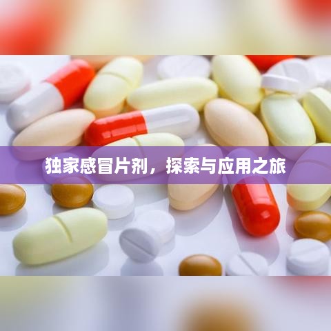 雍荣闲雅 第2页