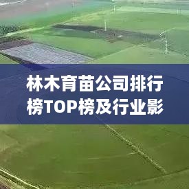 林木育苗公司排行榜TOP榜及行业影响力解析