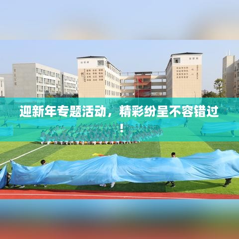 迎新年专题活动，精彩纷呈不容错过！