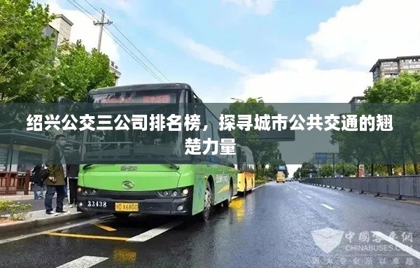 qiyuxuanang 第2页