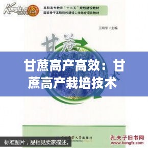 一言九鼎 第2页