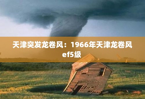 改弦易张 第2页