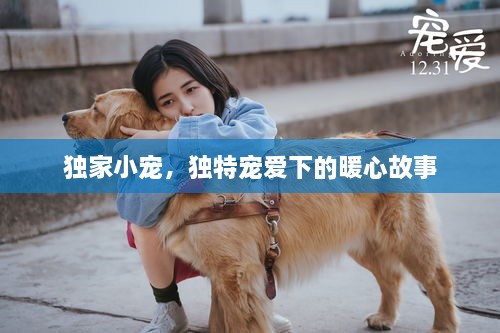 独家小宠，独特宠爱下的暖心故事