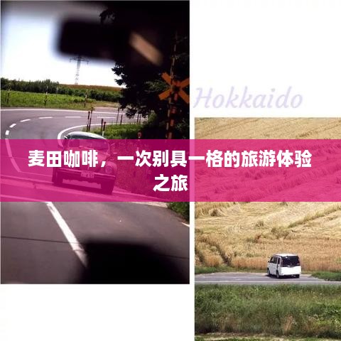 麦田咖啡，一次别具一格的旅游体验之旅