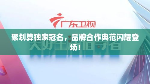 聚划算独家冠名，品牌合作典范闪耀登场！