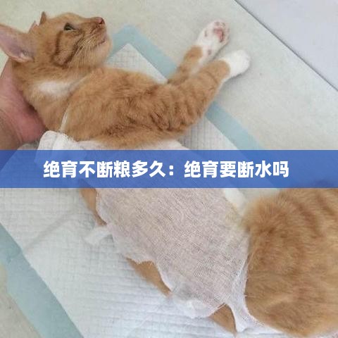 冰清玉洁 第2页