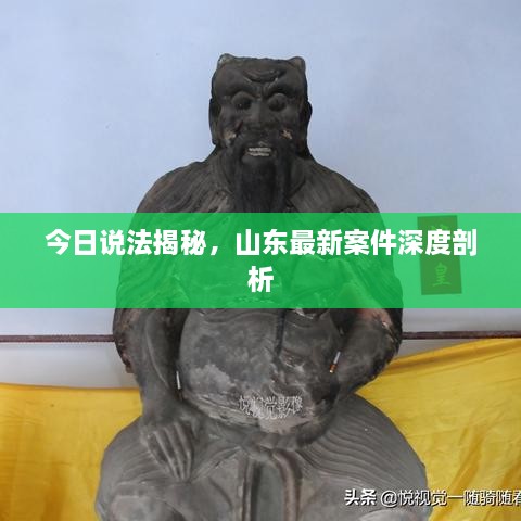 今日说法揭秘，山东最新案件深度剖析