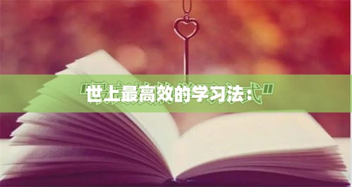 世上最高效的学习法： 