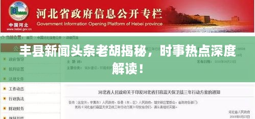 丰县新闻头条老胡揭秘，时事热点深度解读！
