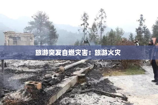 旅游突发自燃灾害：旅游火灾 