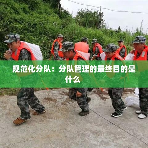规范化分队：分队管理的最终目的是什么 