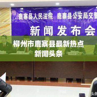 柳州市鹿寨县最新热点新闻头条