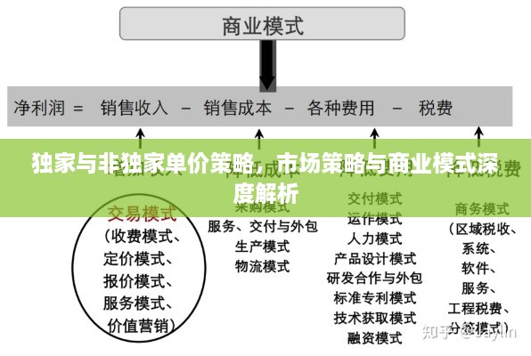 独家与非独家单价策略，市场策略与商业模式深度解析