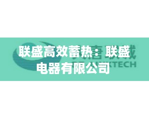 联盛高效蓄热：联盛电器有限公司 