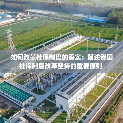 如何改革社保制度的落实：简述我国社保制度改革坚持的重要原则 