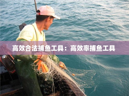 高效合法捕鱼工具：高效率捕鱼工具 