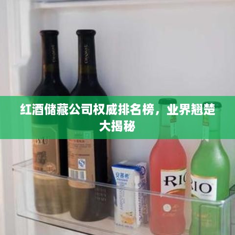 红酒储藏公司权威排名榜，业界翘楚大揭秘