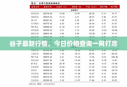 谷子最新行情，今日价格查询一网打尽