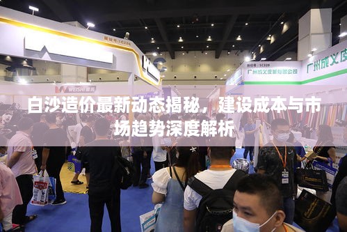 白沙造价最新动态揭秘，建设成本与市场趋势深度解析
